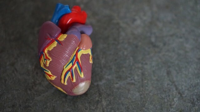 Новосибирские кардиохирурги восстановили работу "отсутствующей" артерии у двухлетней девочки