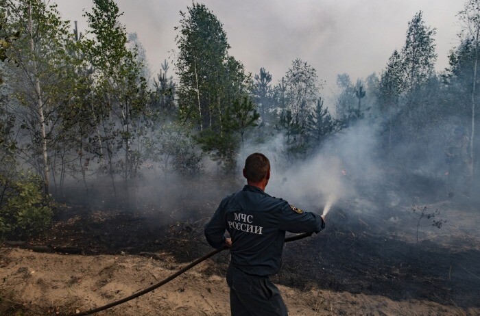Власти Рязанской области рассчитывают остановить распространение огня в северном направлении уже в среду