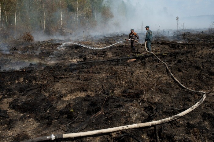 Угрозы возникновения ЧС из-за природных пожаров во Владимирской области нет - власти
