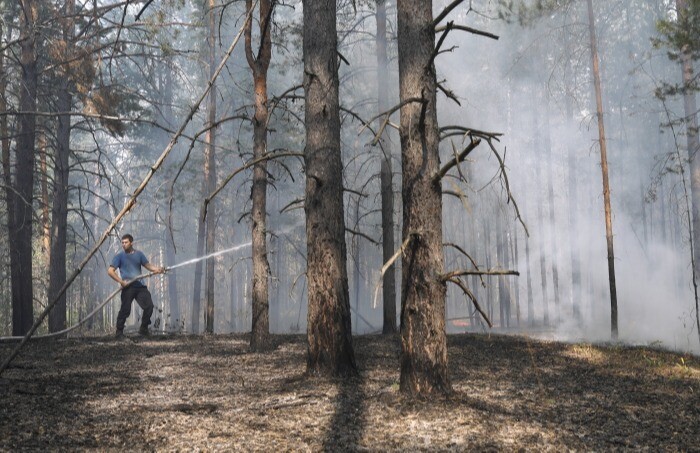 Глава МЧС сообщил о локализации очагов пожаров в Нижегородской области