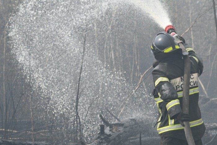 Площадь лесных пожаров в Рязанской области за сутки выросла на 300 га