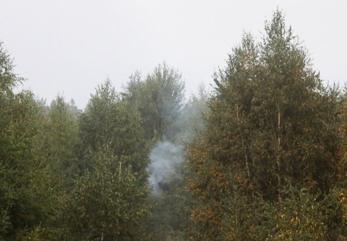 Восемь очагов природных пожаров зафиксировано в Нижегородской области и Марий Эл