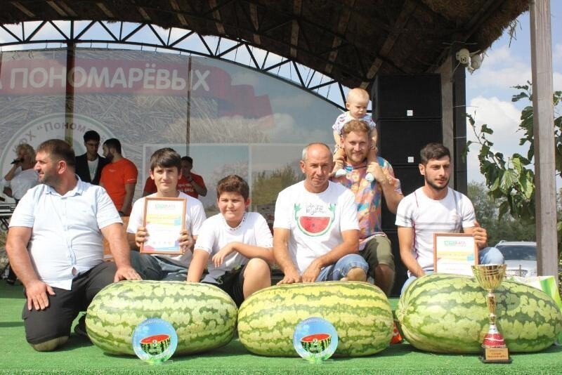 Самый большой в России арбуз вырастил фермер из Астраханской области