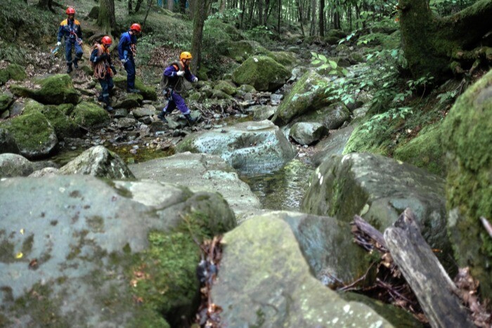 Около 250 человек ищут пропавших в кузбасском лесу пенсионерку с внуком