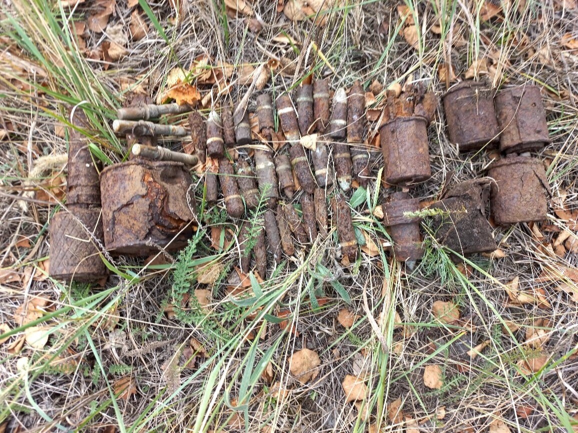 Около 30 боеприпасов времен войны нашли грибники под Старым Осколом