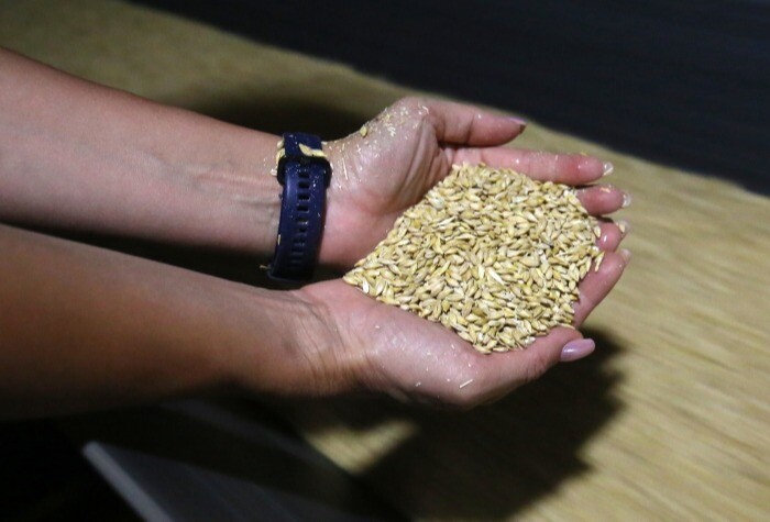 Ставрополье передаст ЛНР 40 тонн элитных семян зерновых