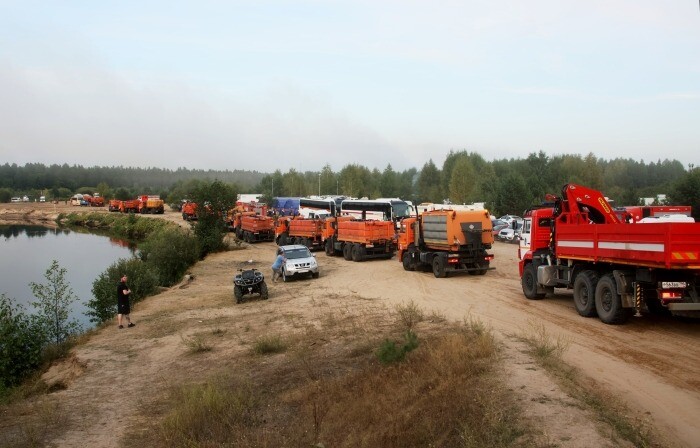 Рослесхоз сообщил о ликвидации лесных пожаров в Рязанской и Ивановской областях