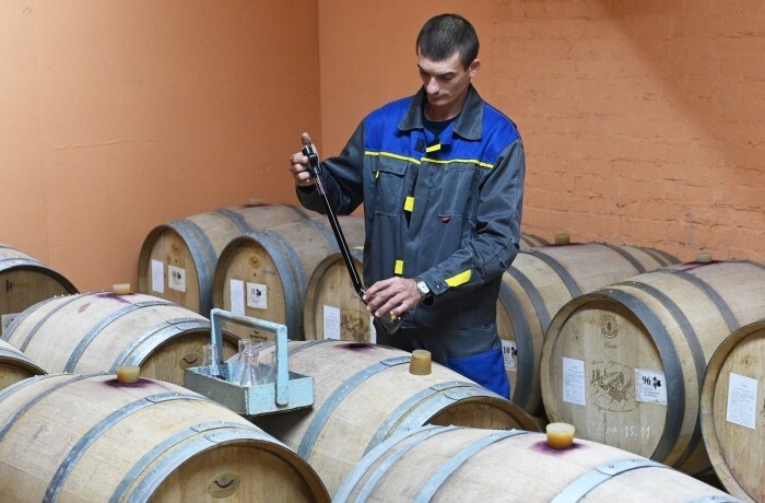 Виноделы Ростовской области в январе-августе удвоили производство