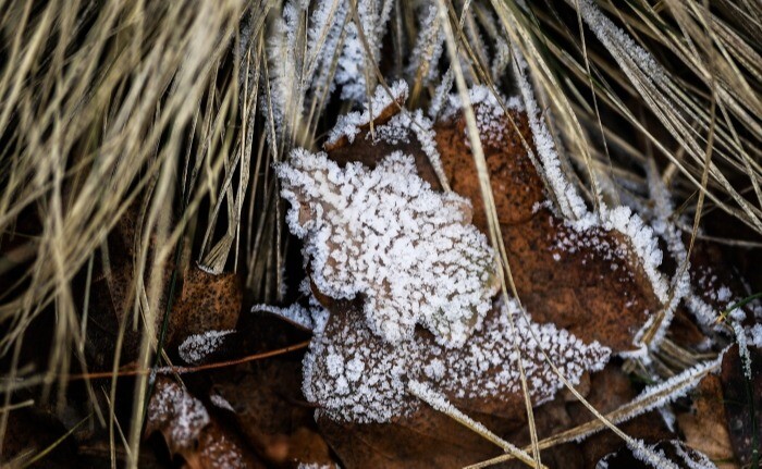 Резкое похолодание и первый снег прогнозируются в ряде регионов Поволжья