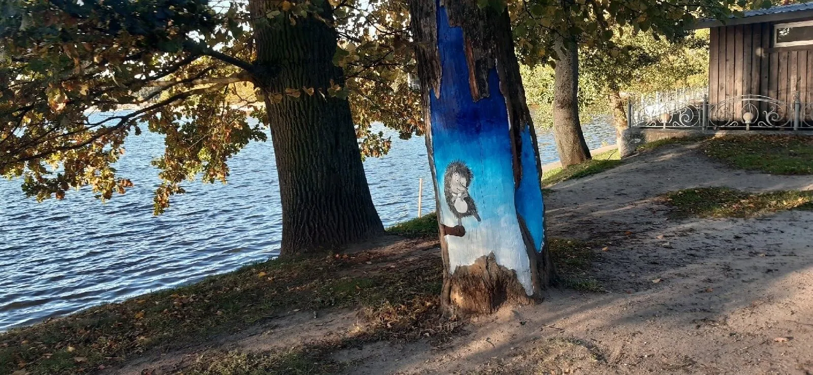 Мэрия Калининграда просит горожан  решить судьбу граффити "ежику в тумане" на одном из деревьев 