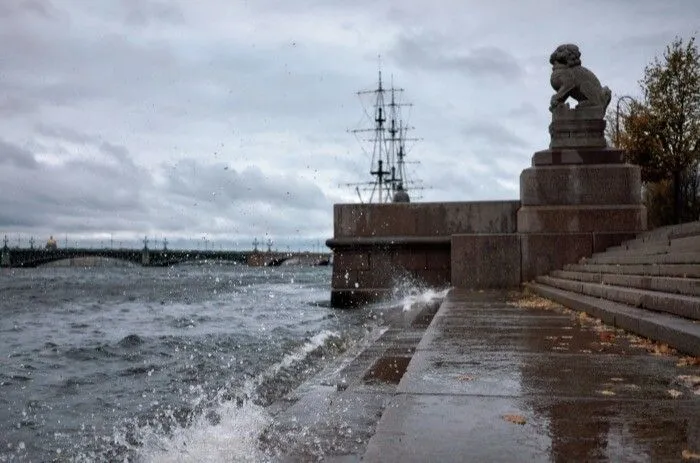Солнца не было в Петербурге с начала ноября