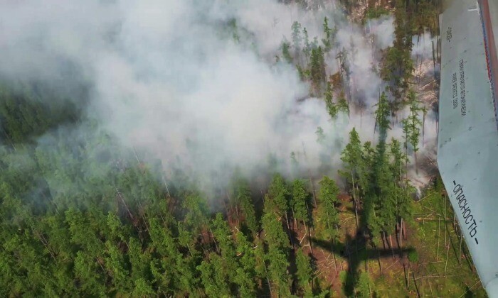 Финансирование на тушение лесных пожаров в ДФО не планируется сокращать