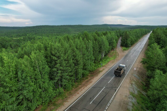 Амурские ученые предлагают ввести новую категорию лесов для защиты многолетней мерзлоты