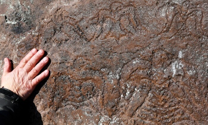 Курганские археологи обнаружили неизвестное ранее поселение каменного века возрастом более 7 тыс. лет