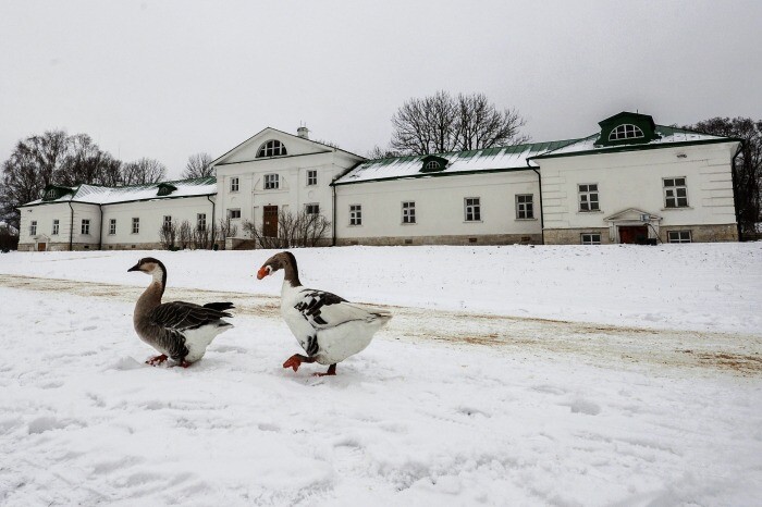 Музей "Ясная Поляна" расскажет о зимних традициях семьи Льва Толстого