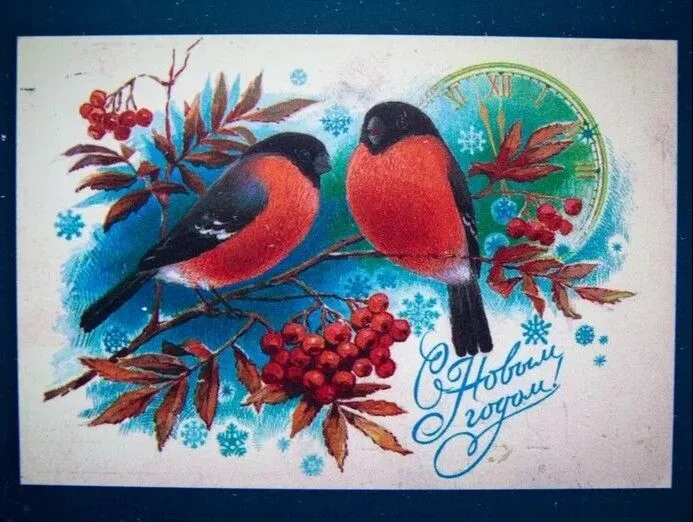 Новогодние открытки времен царской России и СССР представили на выставке в Туле