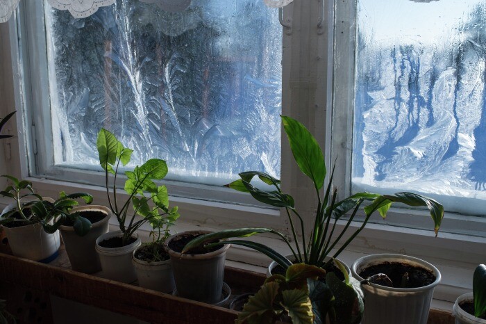 Мороз в Уфе вновь побил температурный рекорд