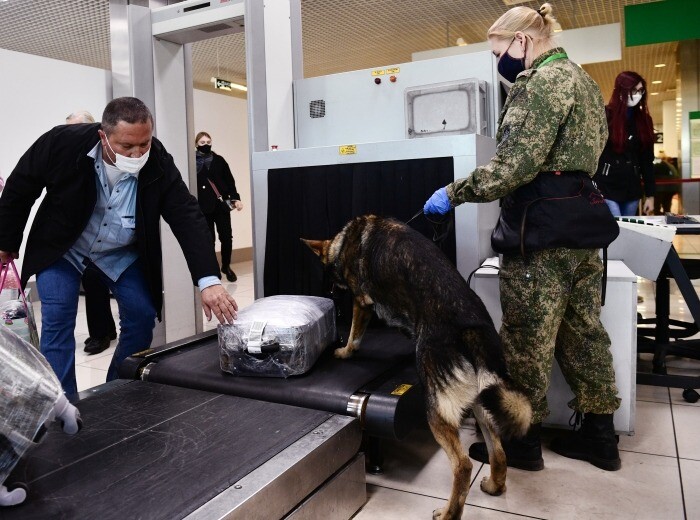 Незаконный вывоз $12,5 тыс. пресекли таможенники в новосибирском аэропорту Толмачево с помощью служебной собаки