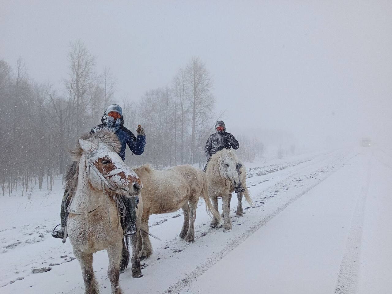 Якутский путешественник планирует 800-километровый конный поход на Колыму