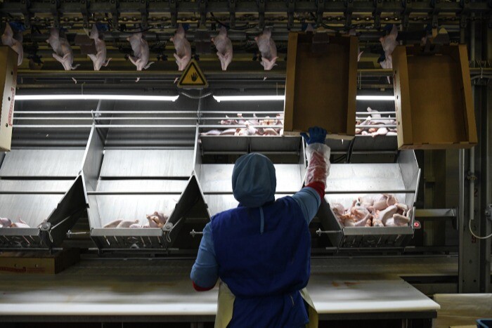 Производство мяса в Липецкой области в 2022г увеличилось на 4,5%, молока - на 1,7%