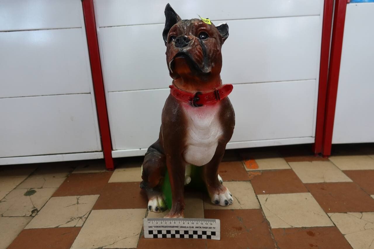 Упавшая на голову статуя собаки отправила в нокаут вора, залезшего в сельский магазин на Камчатке