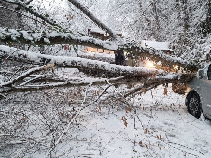 Оползень сошел на трассу Джубга-Сочи, снег повалил десятки деревьев