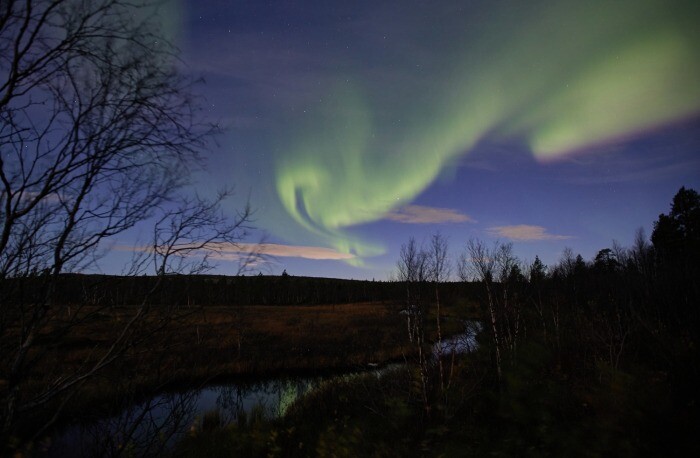 Северное сияние озарило небо над Ленинградской областью