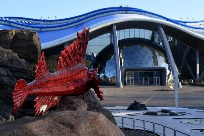 Приморский океанариум привлекли к ответственности за нарушения при содержании животных