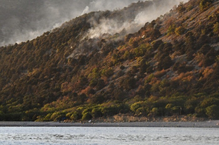 Более 8 тыс. гектаров заповедников уничтожено пожарами в Крыму и Астраханской области за год - полпред