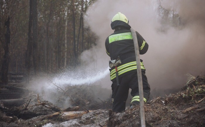 Площадь лесных пожаров в ЮФО в 2022 году выросла более чем втрое - полпред