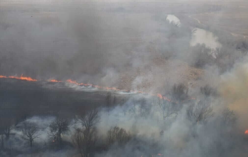 Площадь природных пожаров в Астраханском заповеднике возросла до 8 тыс. га