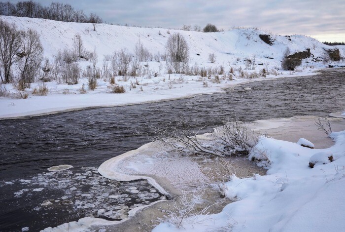 Росприроднадзор обследует реки в Ленинградской области после сообщений о мертвой форели