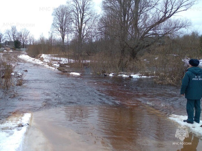 Паводок в Новгородской области подтопил 7 мостов, 13 автодорог и около 50 приусадебных участков