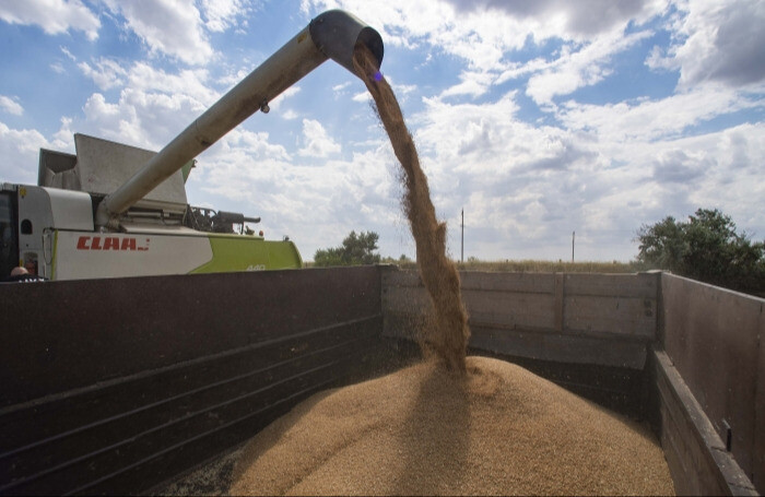 Саратовская область в 2023г рассчитывает собрать 4 млн тонн зерновых