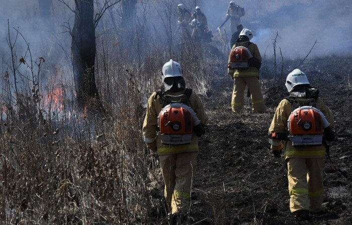 Порядка 1 тыс. человек привлекаются для тушения природных очагов пожаров в Тульской области - МЧС