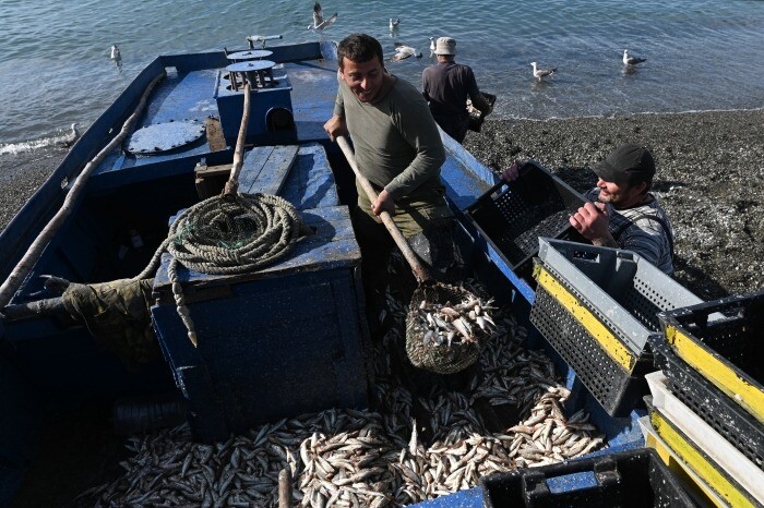 Власти Крыма в ручном режиме помогают организовывать выход в море рыболовам в условиях ограничений