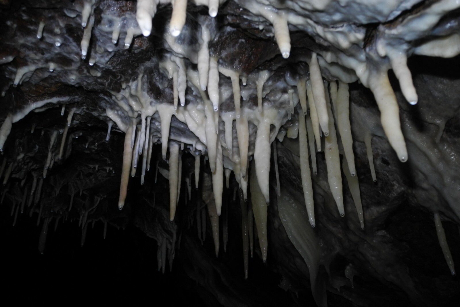 Охранные зоны пяти памятников природы, в том числе двух многоярусных пещер, установлены в Прибайкалье
