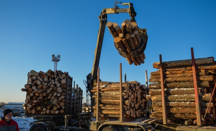 Таможенники отмечают рост числа преступлений при экспорте лесоматериалов из Сибири в 2023 году