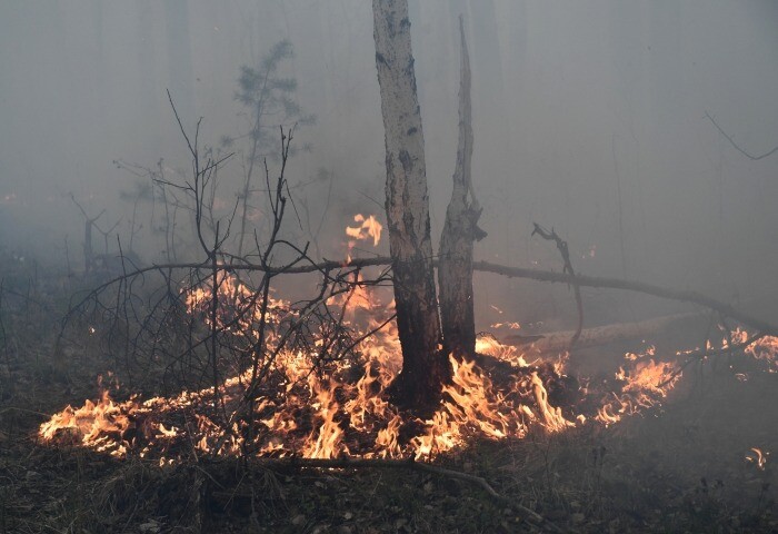 Более 10 природных пожаров ликвидировали в Свердловской области за сутки