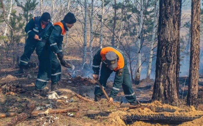Фактов умышленных поджогов, переросших в крупные природные пожары в Курганской области, нет - ГУ МВД