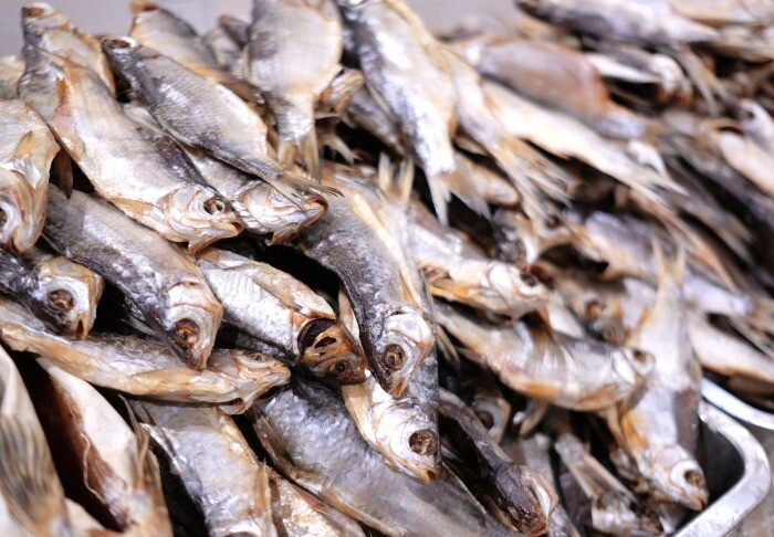 Астраханская область установила антирекорд по промышленному вылову воблы, за год улов упал на 30%