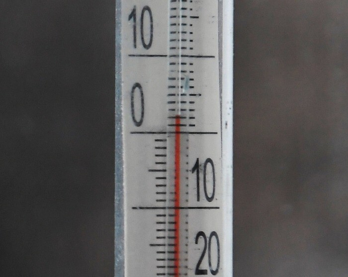 Скачок температуры на 20 градусов ожидается в Новгородской области