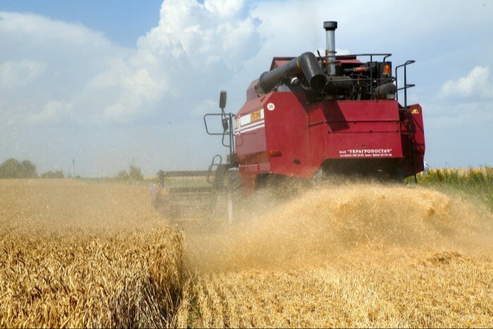 Глава Минсельхоз: прогноз сбора зерна в РФ в этом году в 123 млн т может быть повышен