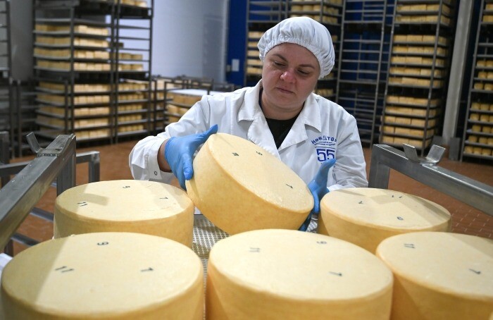 Краснодарский край в январе-апреле увеличил производство сыра на 11,5%