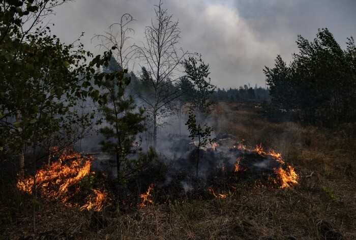 Режим ЧС объявлен в районе ХМАО, где сильный ветер осложняет тушение лесных пожаров
