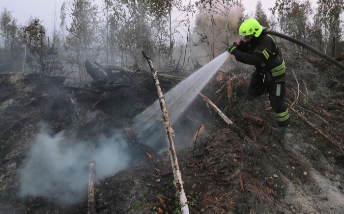 Пожар тушат в природном парке "Бажовские места" в Свердловской области