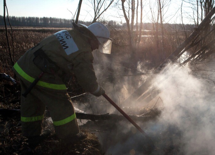 Шестидневный торфяной пожар локализовали на площади почти 300 га в Челябинской области