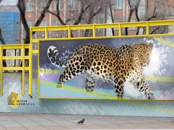 Лучшее изображение леопарда для граффити выберут во Владивостоке