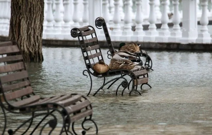 Вероятность наводнений в населенных пунктах Юга России остается высокой - Патрушев