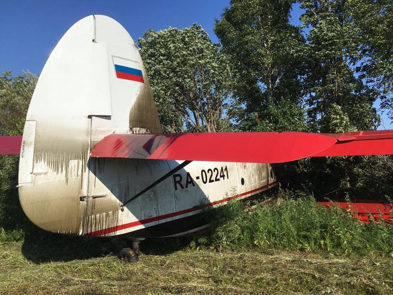Самолет Ан-2 аварийно сел в Кировской области, пострадавших нет - прокуратура